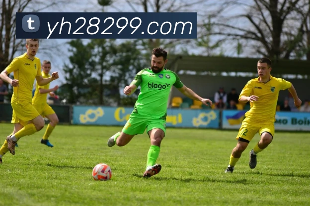 银河娱乐官网平台生态图